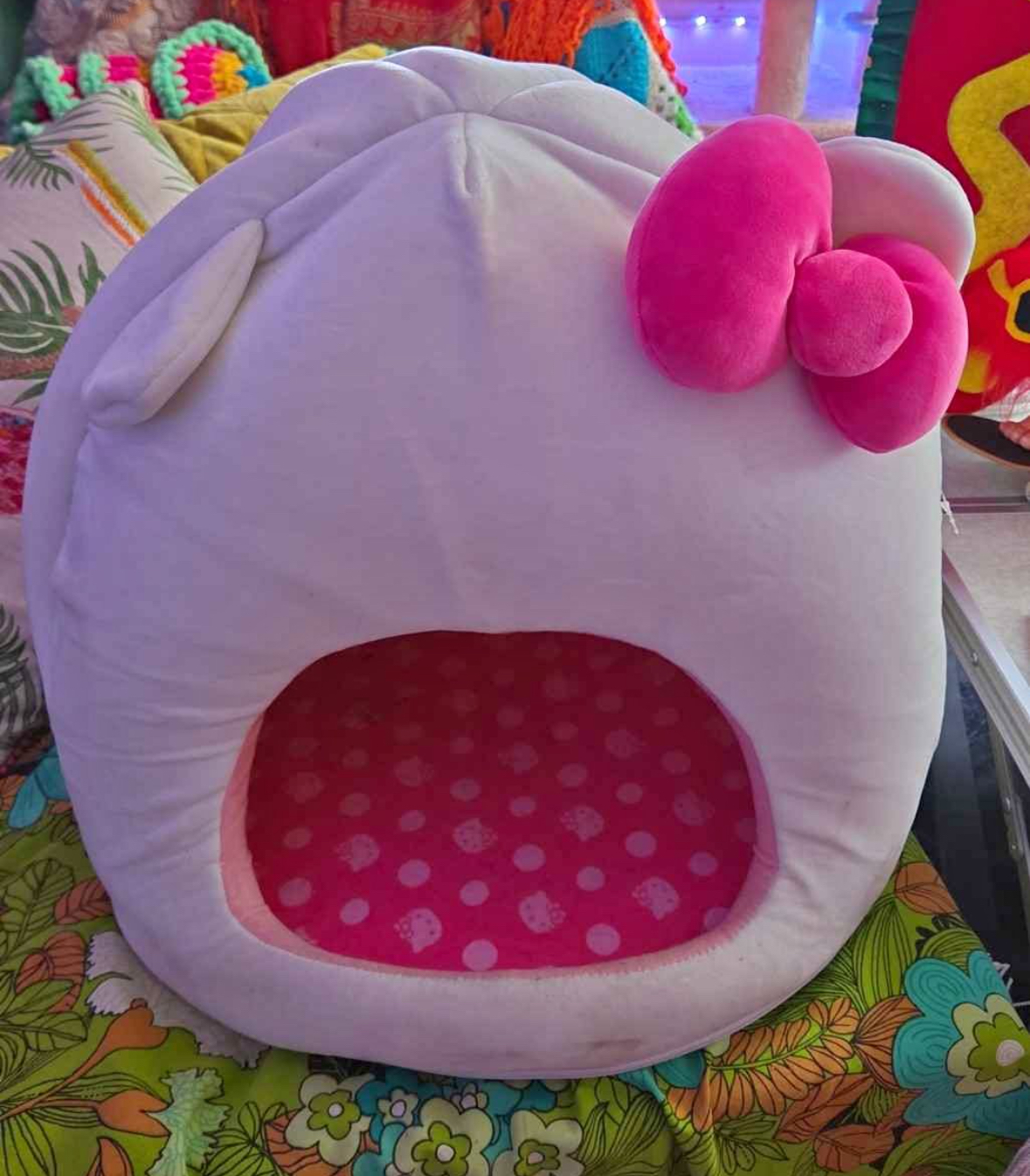 cat bed for sale in Regina, SK